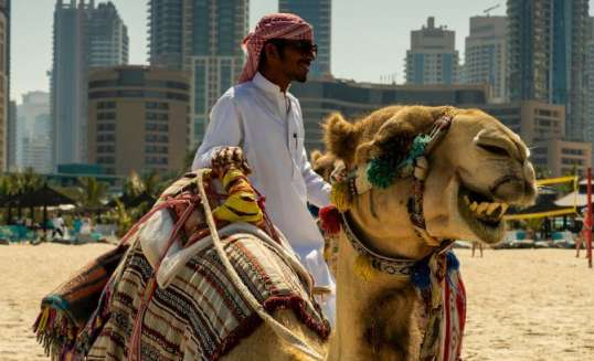 Downtown Dubai met een kameel